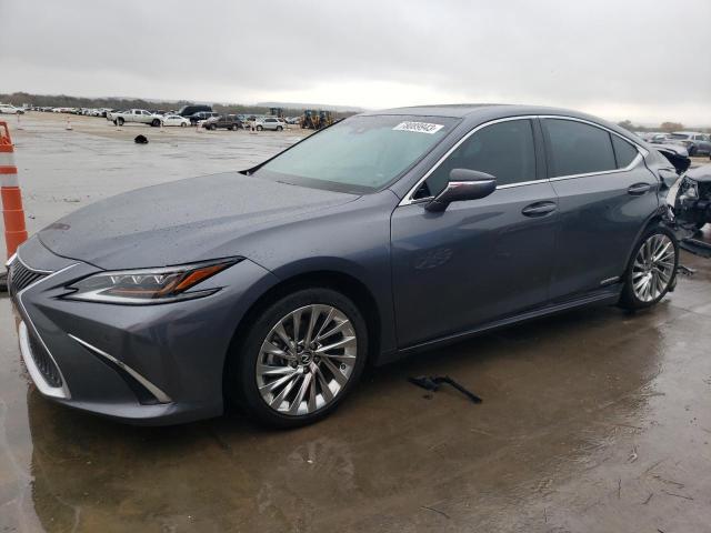 Lexus Es300 (2020)