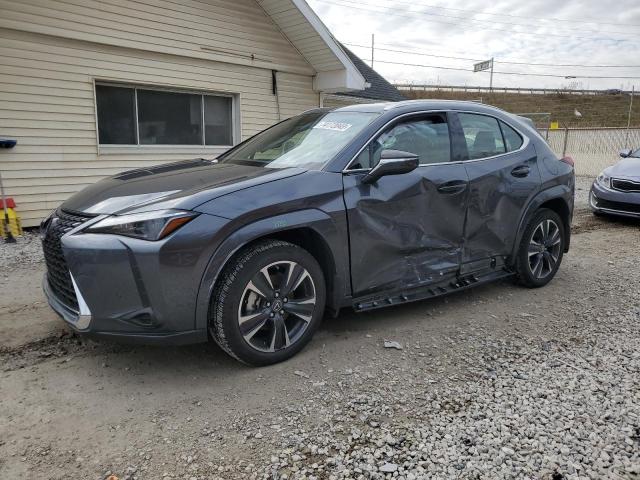 Lexus Ux 250h pr (2023)