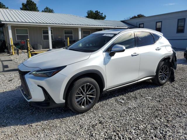 Lexus Nx 250 (2022)