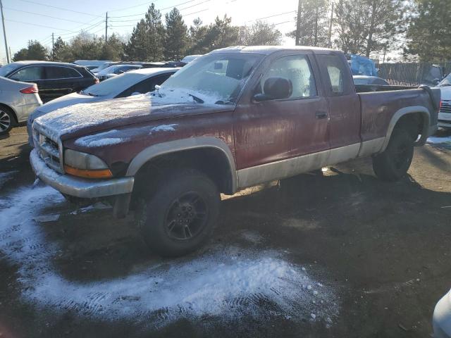 Dodge All models (2000)