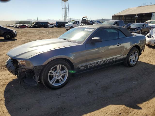 Ford All models (2010)