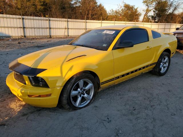 Ford All models (2005)