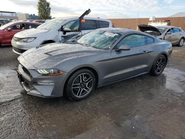 Ford All models (2023)