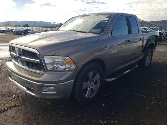 Dodge All models (2010)