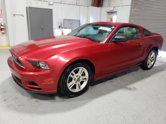 Ford All models (2013)