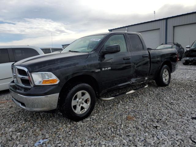 Dodge All models (2009)