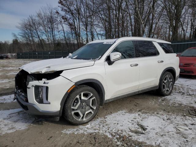 Hyundai Palisade (2023)