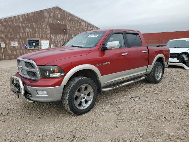 Dodge All models (2009)