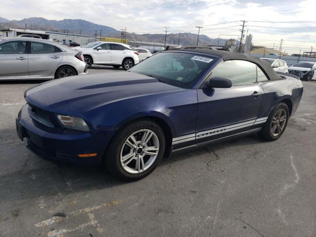 Ford All models (2010)