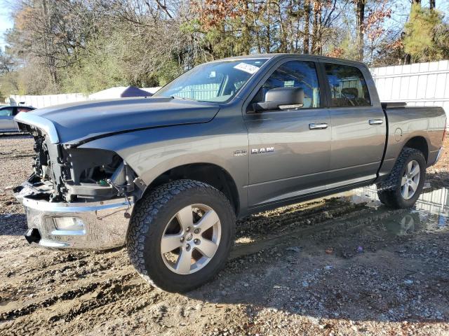 Dodge All models (2009)