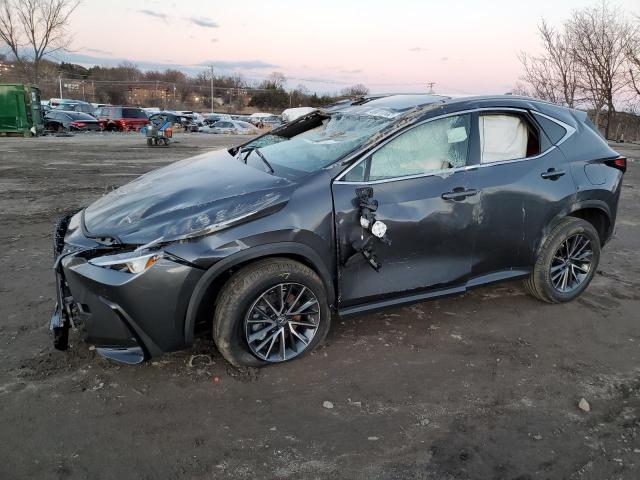 Lexus Nx 350 (2023)
