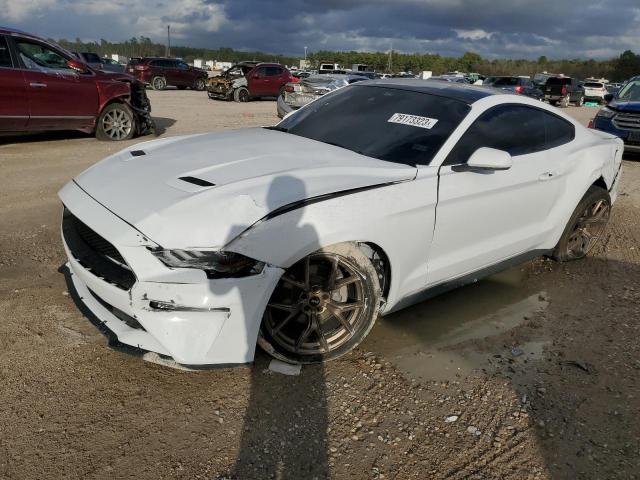 Ford All models (2022)