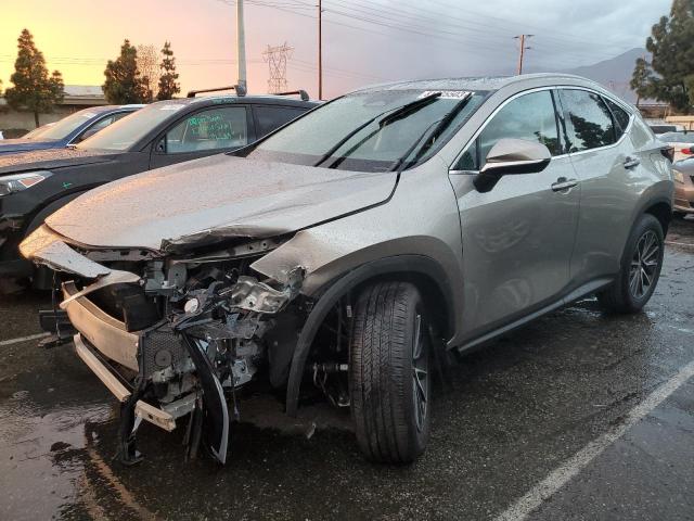 Lexus Nx 350 (2023)