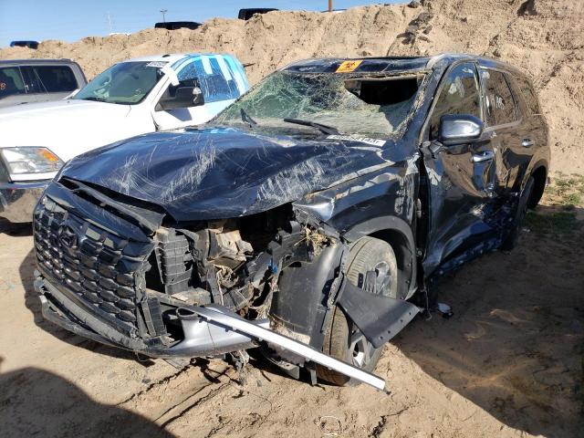 Hyundai Palisade (2023)