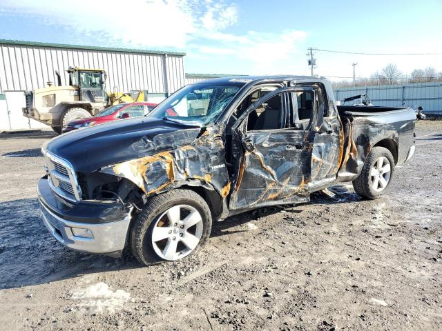 Dodge All models (2010)