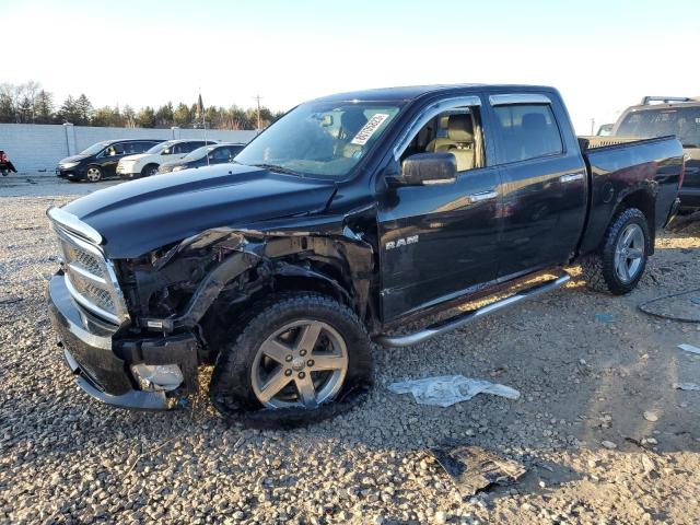 Dodge All models (2009)