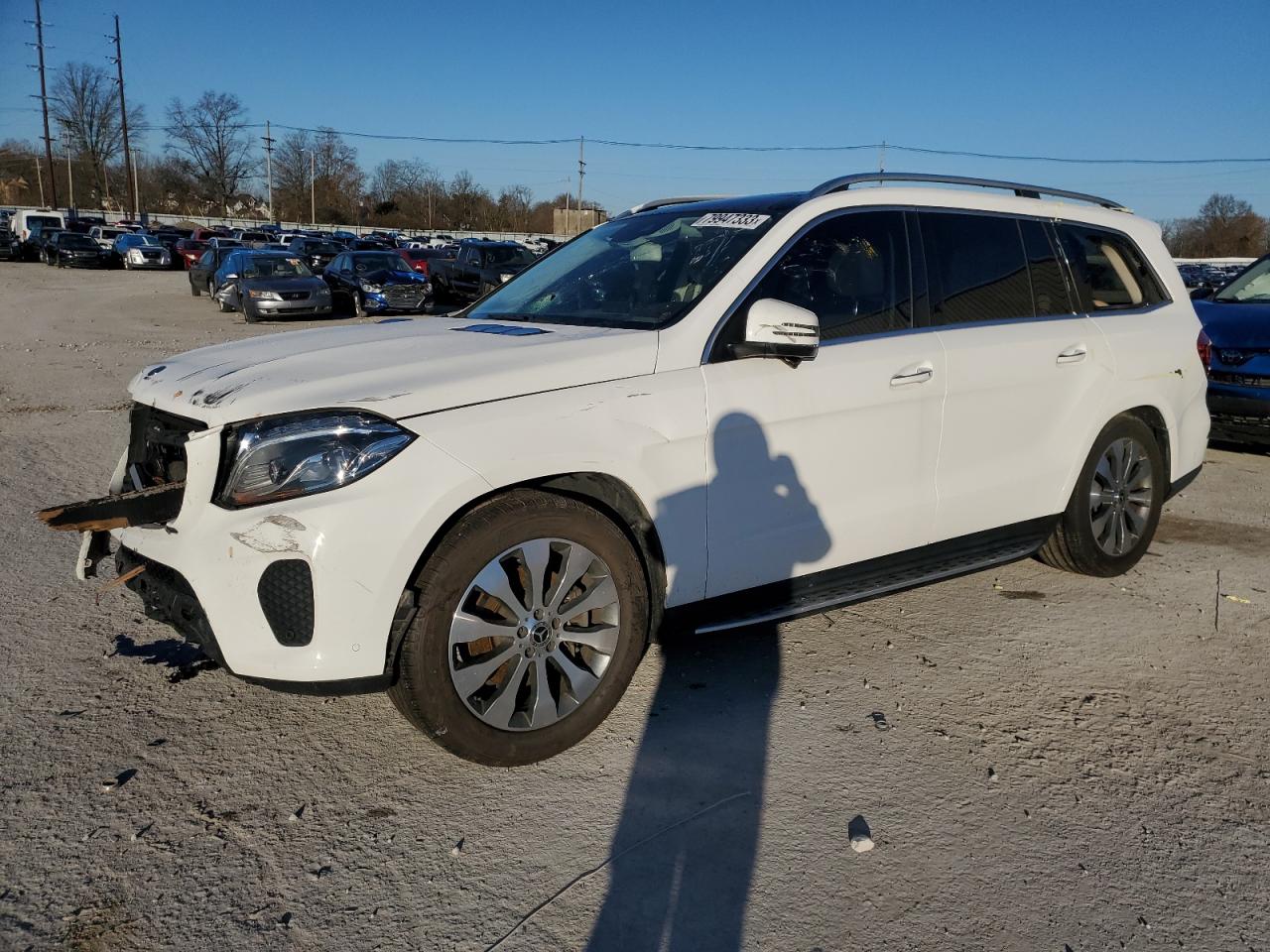 Mercedes-benz Gls-klasse (2019)