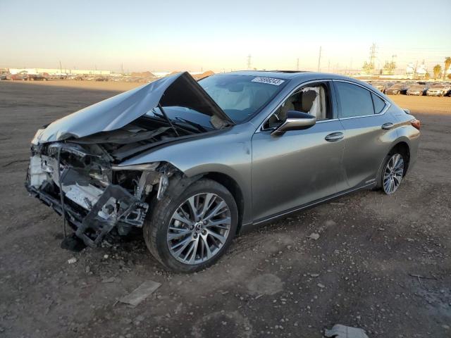 Lexus Es300 (2020)