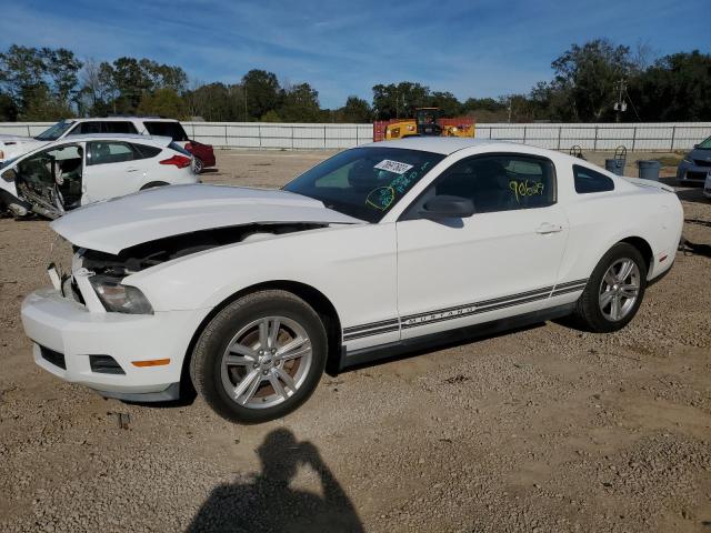 Ford All models (2010)
