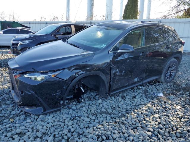 Lexus Nx 350 bas (2024)