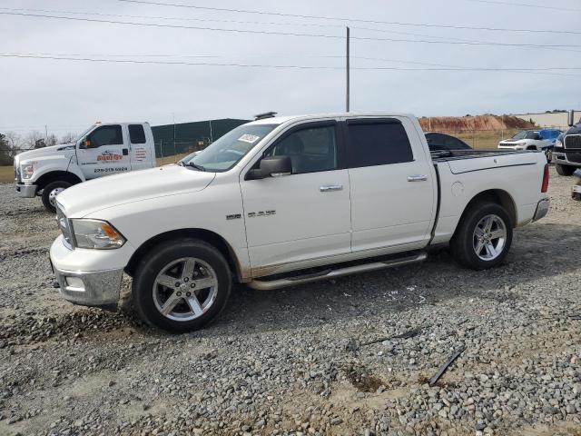 Dodge All models (2009)