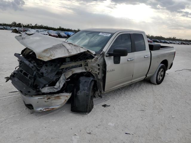 Dodge All models (2010)