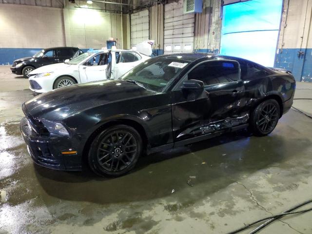 Ford All models (2014)