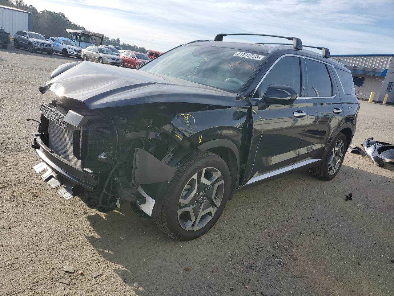 Hyundai Palisade (2024)