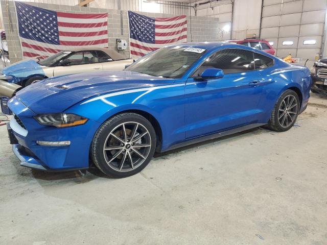 Ford All models (2019)