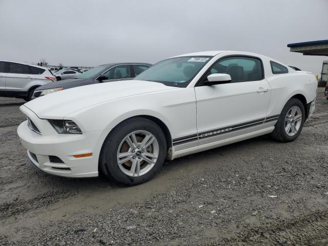 Ford All models (2013)