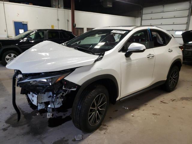 Lexus Nx 350 bas (2024)