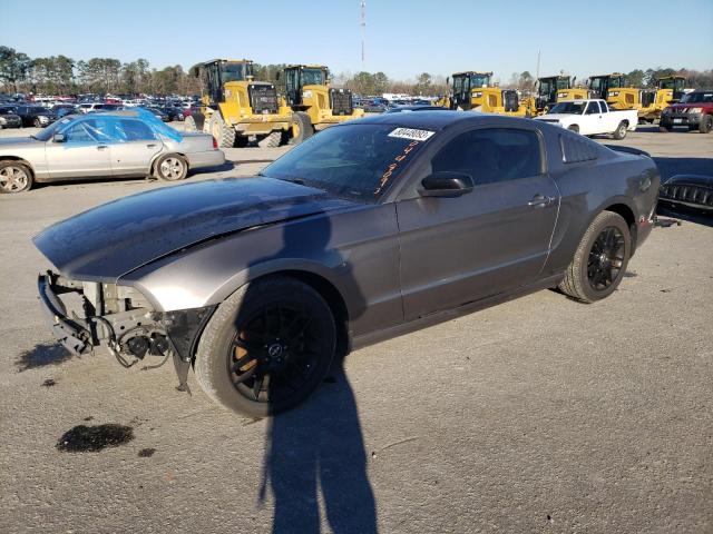 Ford All models (2014)