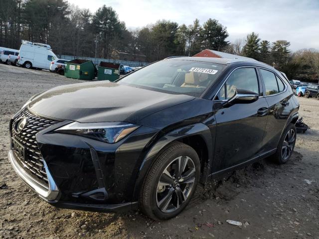 Lexus Ux 250h pr (2024)