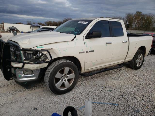 Dodge All models (2009)