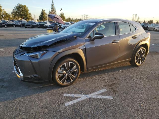 Lexus Ux 250h ba (2024)