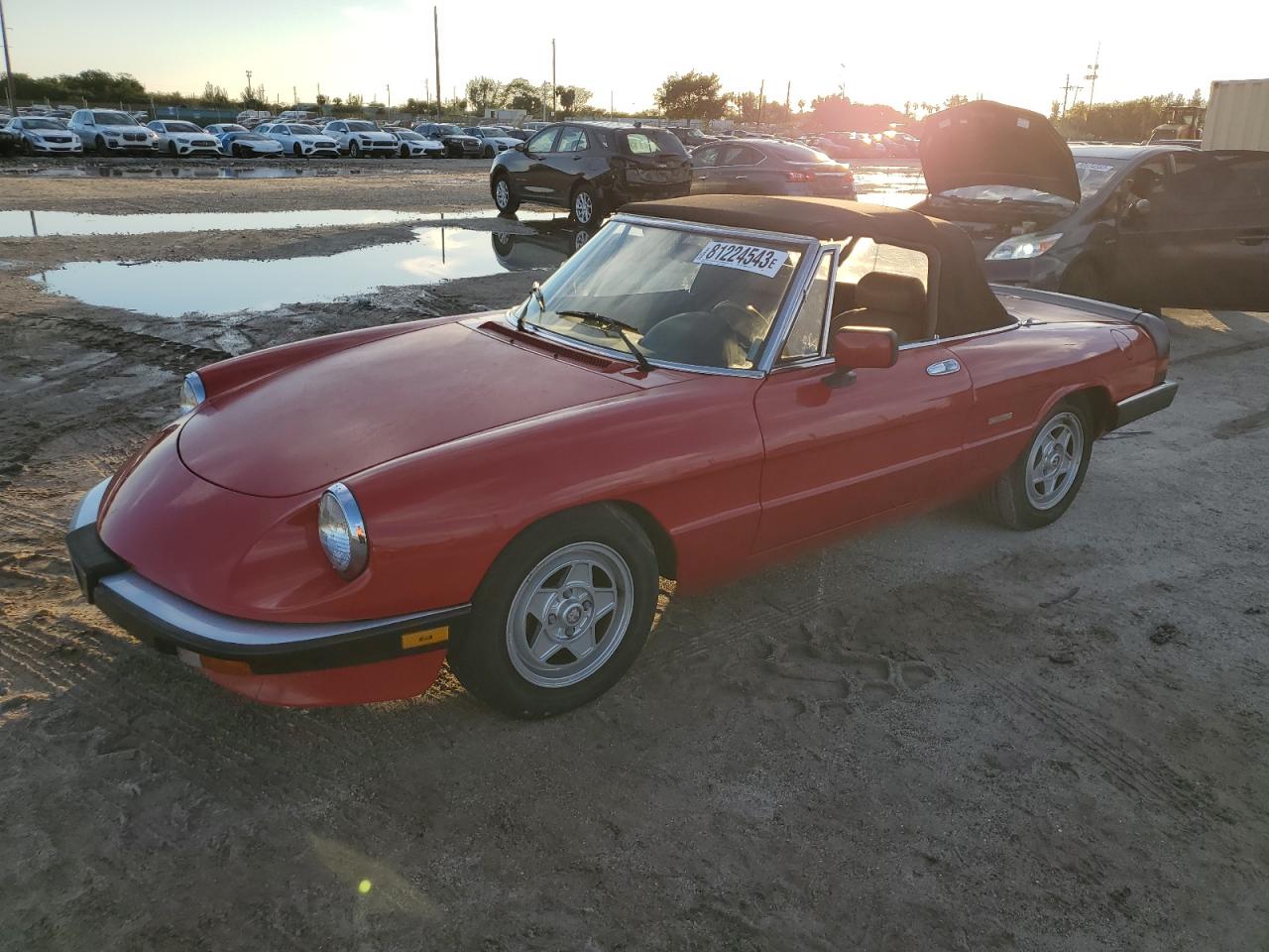 Alfa-romeo Spider (1989)