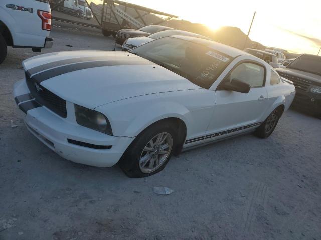 Ford All models (2007)