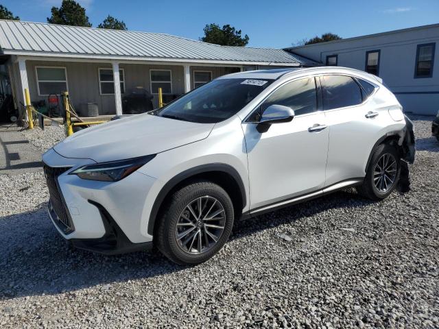 Lexus Nx 250 (2022)
