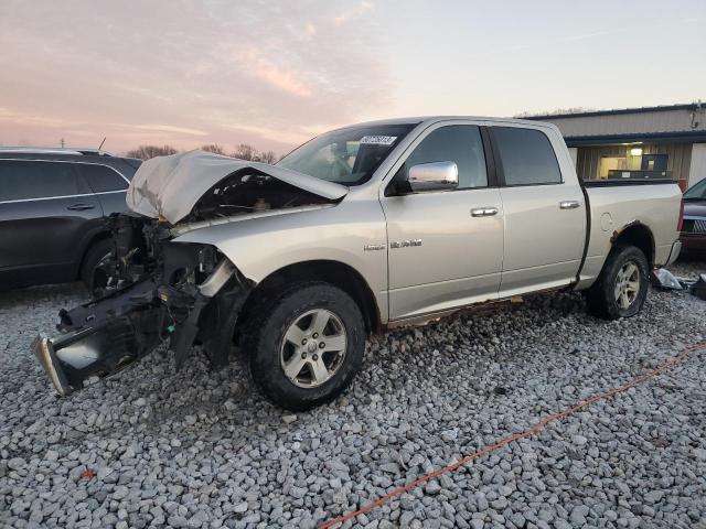 Dodge All models (2009)