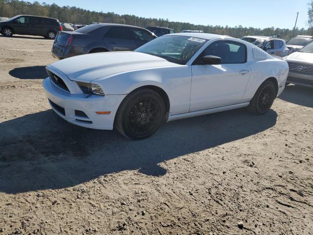 Ford All models (2014)