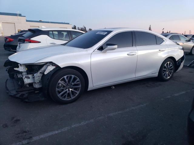 Lexus Es300 (2022)