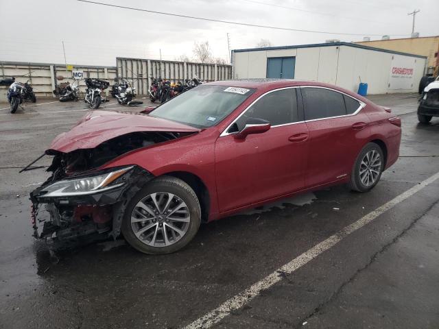 Lexus Es300 (2022)