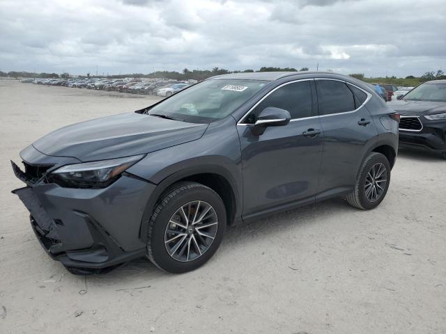 Lexus Nx 250 (2023)