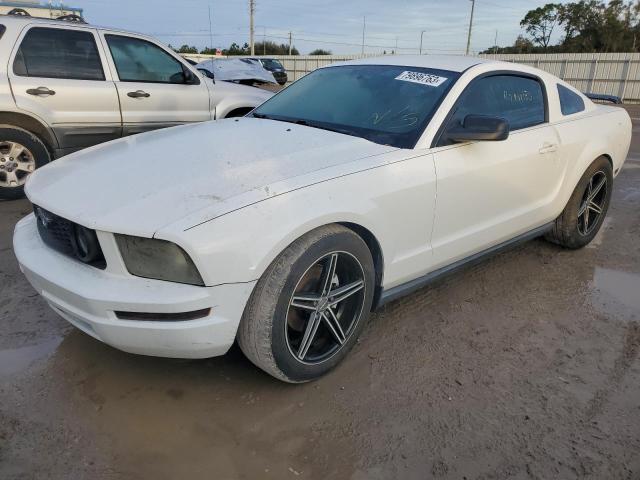 Ford All models (2005)