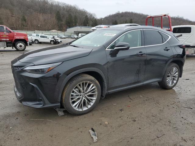 Lexus Nx 350h ba (2024)