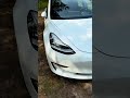 Tesla Model 3 (2019)