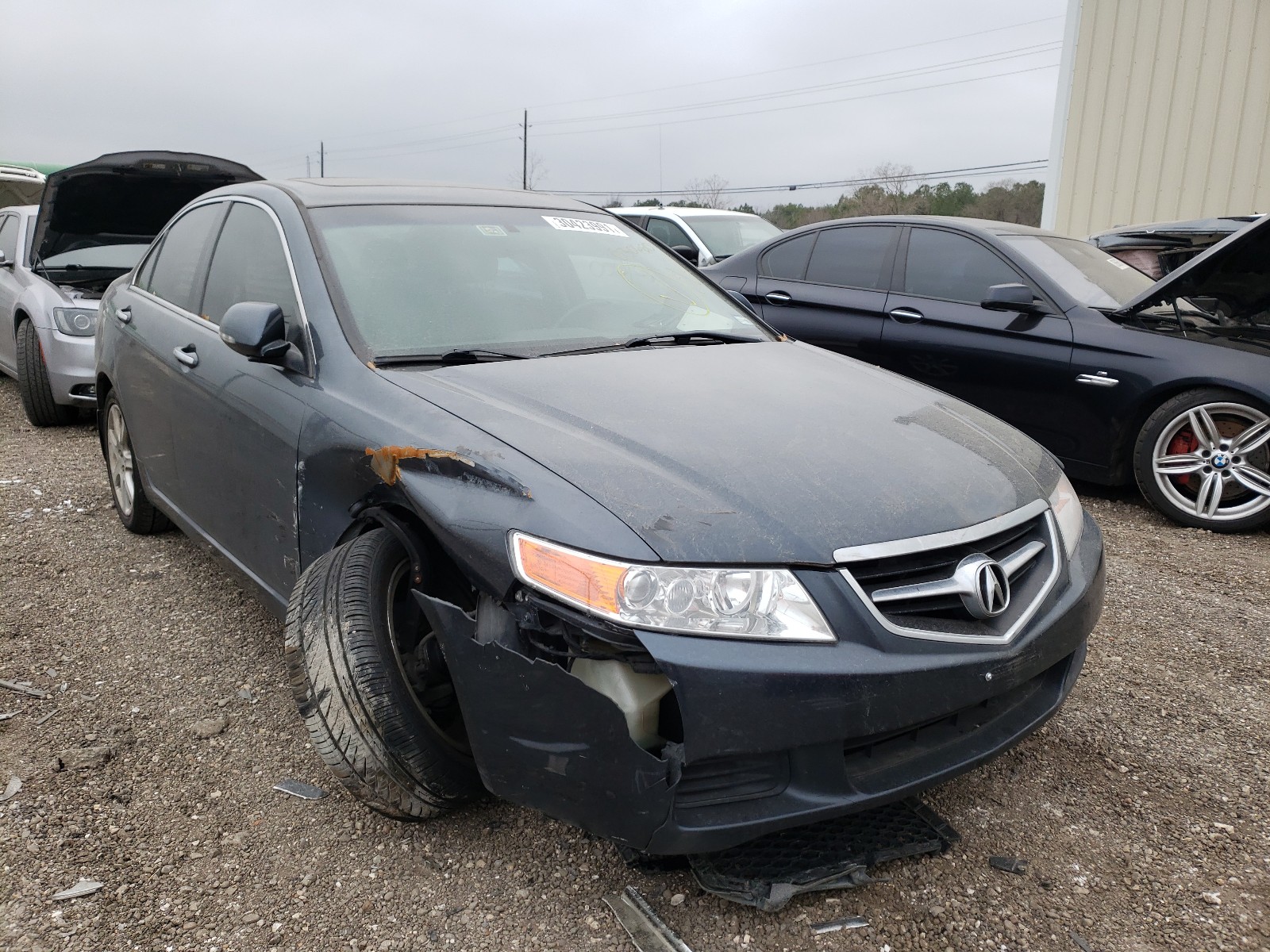 Acura Tsx (2005)