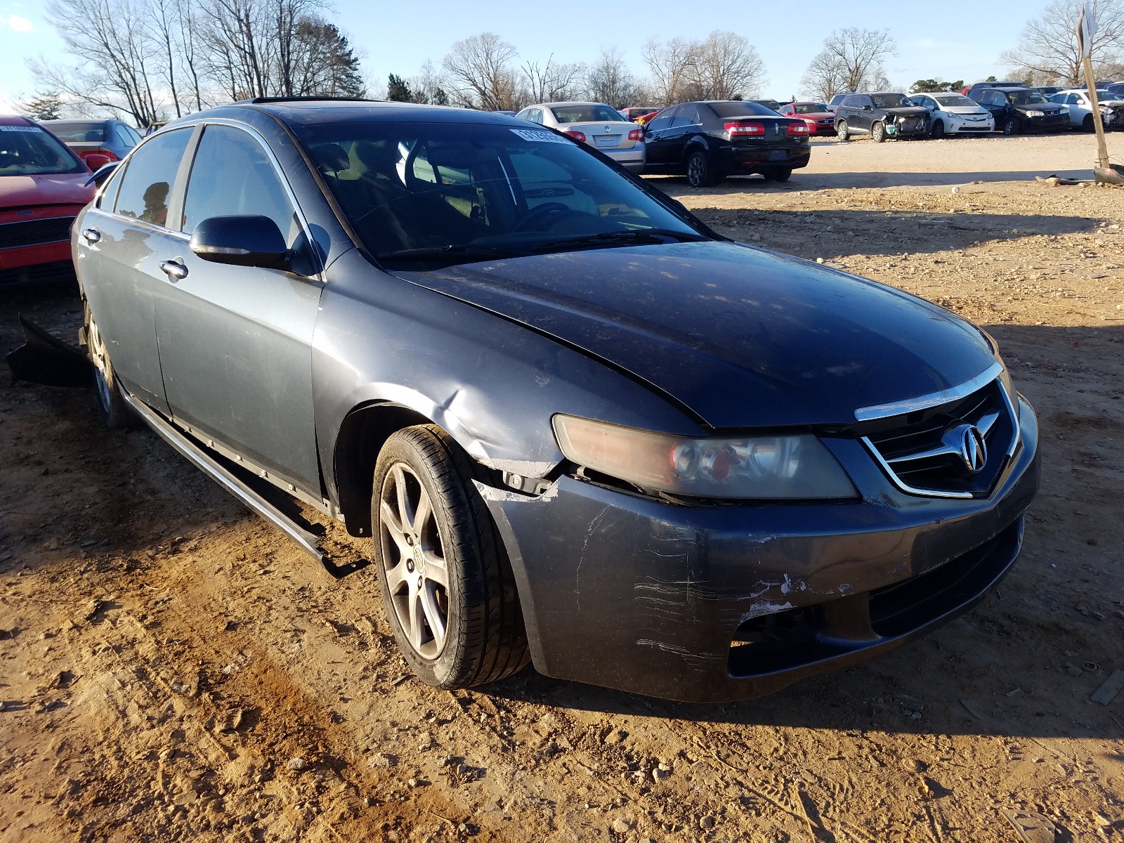 Acura Tsx (2005)
