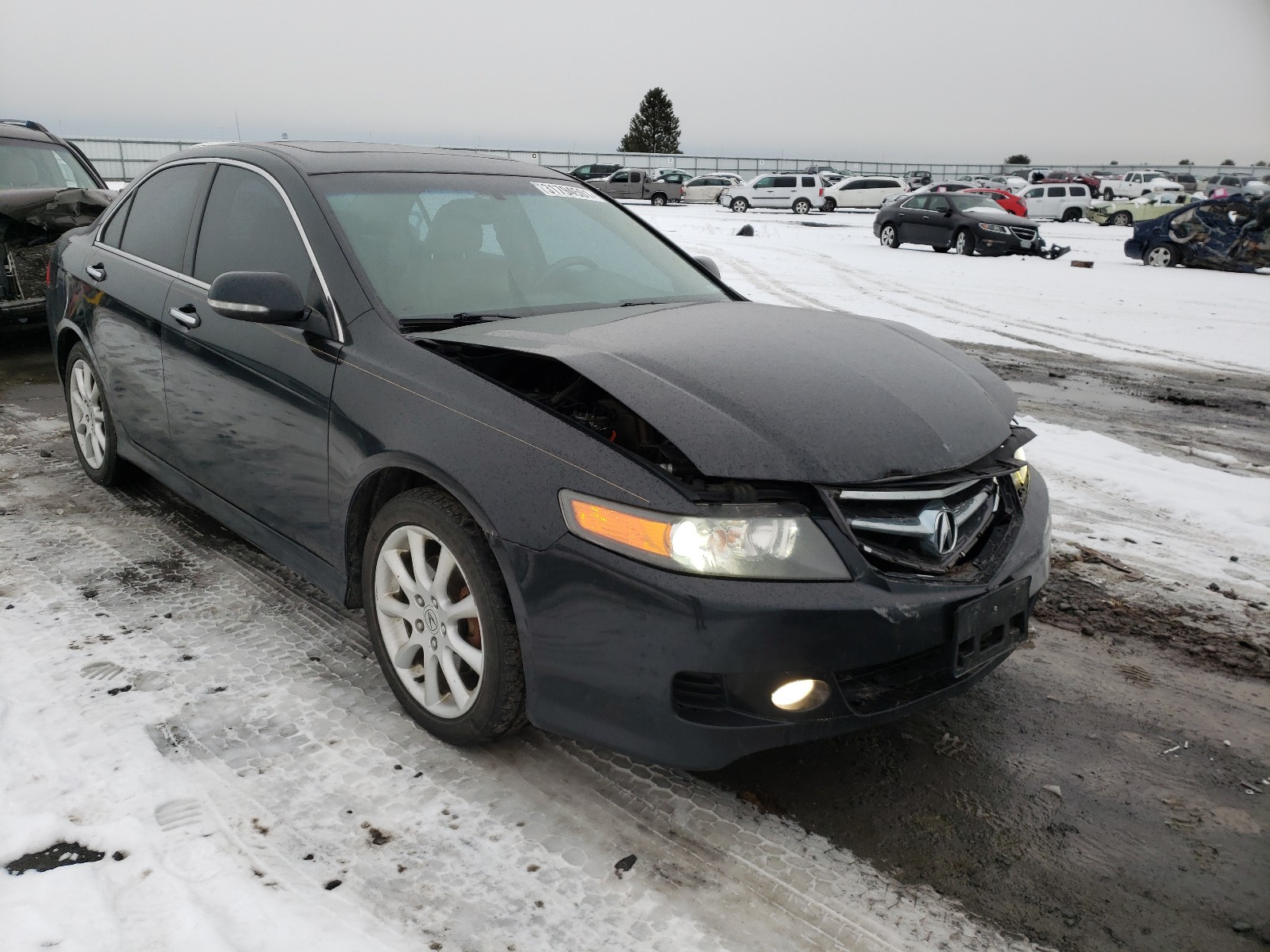 Acura Tsx (2006)