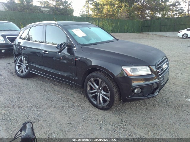 Audi Sq5 (2015)